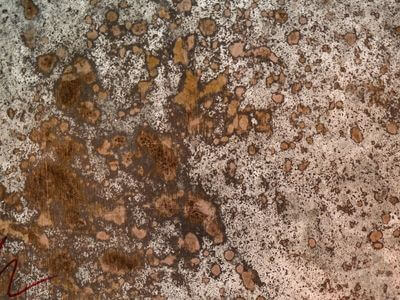 Professional water damage restoration services in Murfreesboro - Greencrest Pros